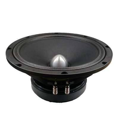 10 Inch pa speakers car speaker midrange speakers 10 inch speaker