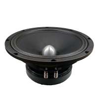 10 Inch pa speakers car speaker midrange speakers 10 inch speaker